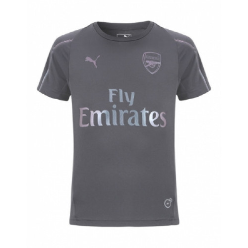 Арсенал Детская тренировочная футболка сезон 2018/19 серого цвета